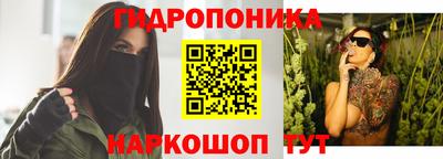 прущие крисы Кандалакша